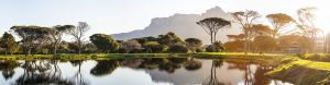 golf cape town Afrique du sud